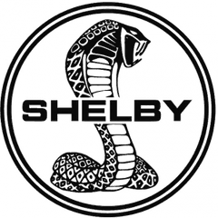 SHELBY SUPER SNAKE TUNE & SHIFT