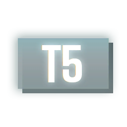 Tier 5