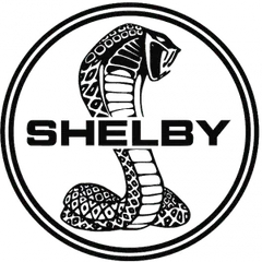 SHELBY SUPER SNAKE TUNE & SHIFT