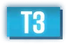 Tier 3